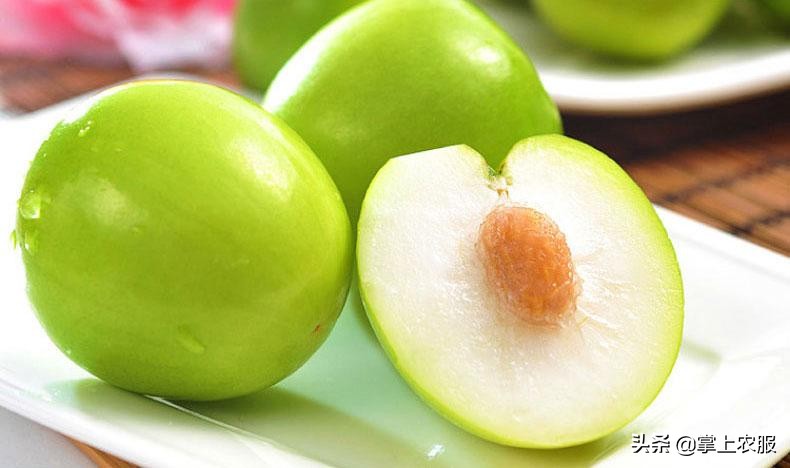这种长得像苹果的枣，其实是青枣