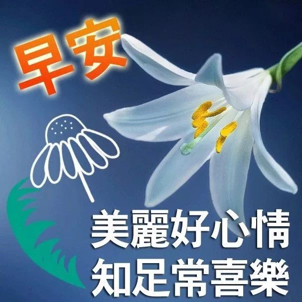 遇见，只是一个开始；珍惜，才能相伴一生，早安