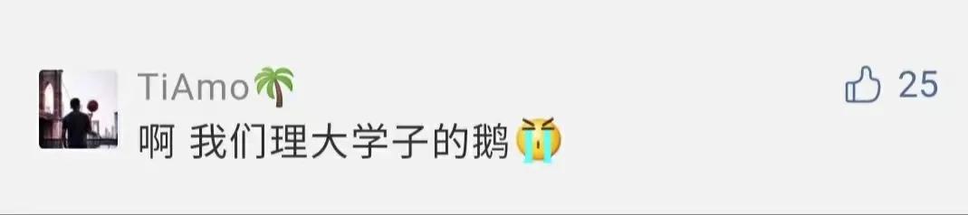 痛心！大理大学12只网红黑天鹅被烈犬咬死！包括6只丑小鸭！狗主人赔4万元