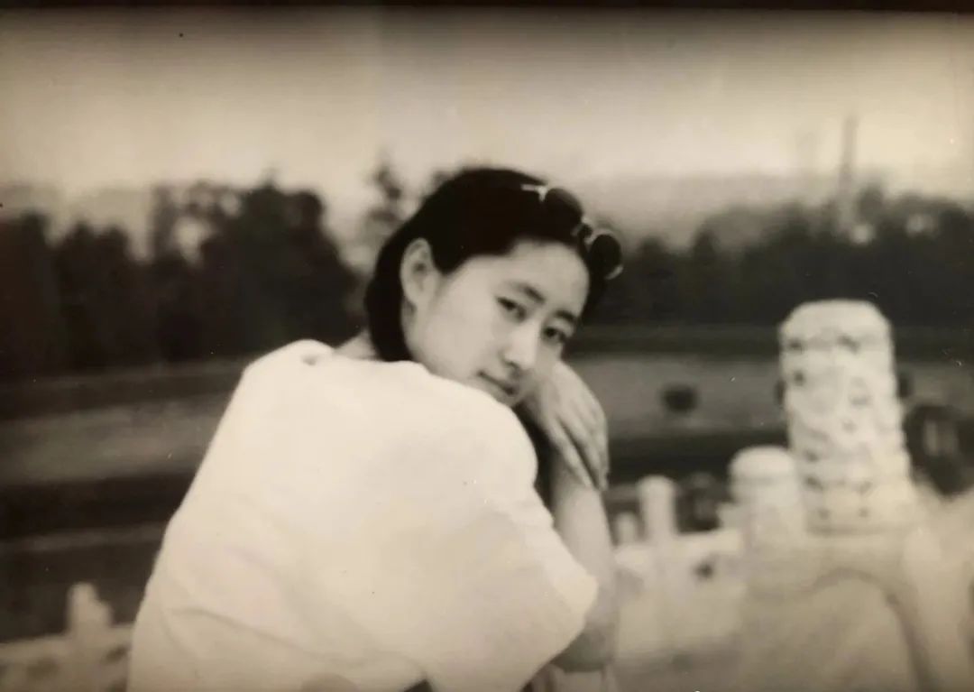 刘敏涛的婚史（刘敏涛活出了属于她的独特精彩）-第23张图片
