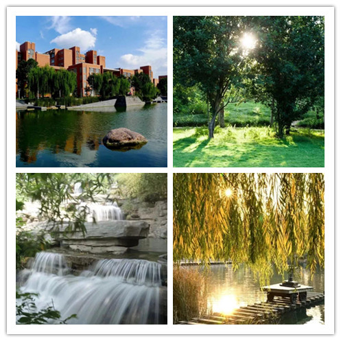 占地5700余亩，走出院士、奥运冠军等94万人才，10个理由让你爱上河南这所高校