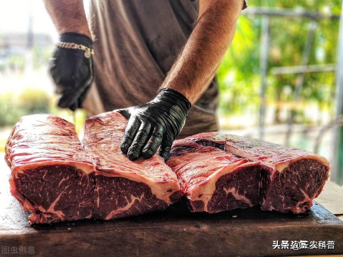 猪肉“白菜价”，蛋、牛羊低迷，核桃、柚子跌到砍树，发生了啥？