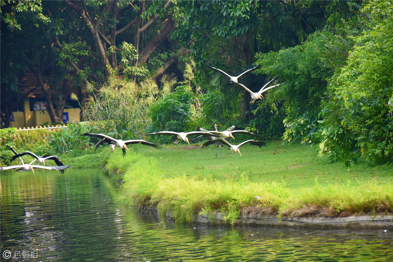 三天三夜欢乐长隆之旅（附攻略）