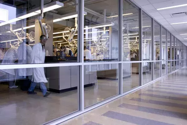 中国博士留学生对同胞室友频频下毒！被判7年，遣返回国！