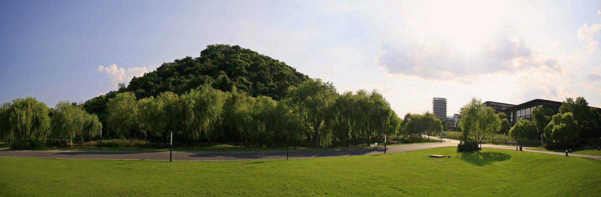 2019年艺考录取更加残酷，考生究竟如何升学？