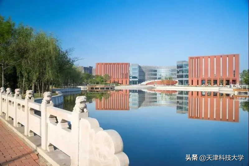 天津科技大学2020年普通本科招生章程