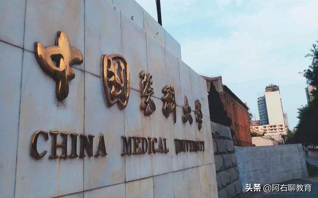 沈阳除了东北大学和辽宁大学外，还有哪些高校比较突出？