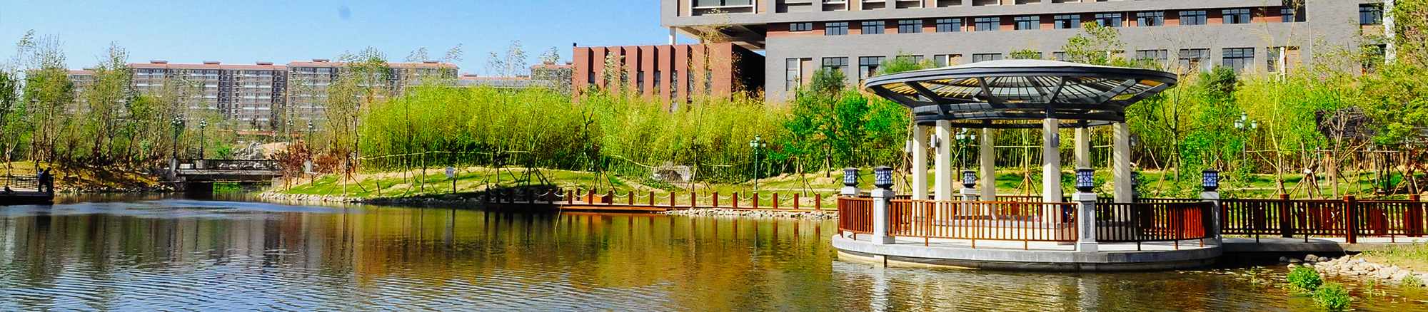 河南财经政法大学2020年招生计划，2019年各专业录取分数