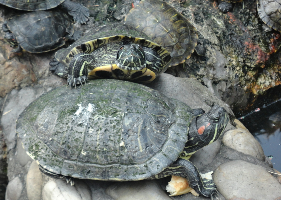 一千米每小时等于多少米每秒(光速是已知最快的速度吗) - 青木春