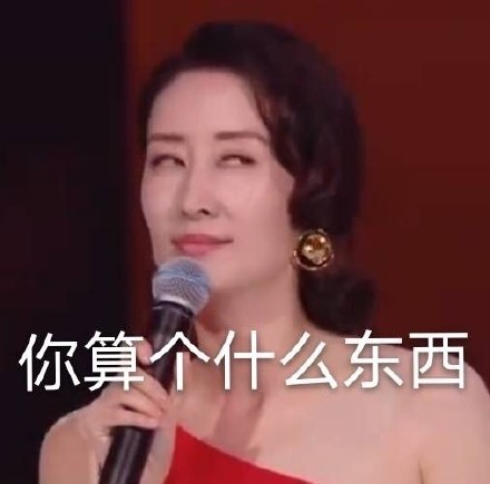 刘敏涛表情包合集｜你算个什么东西