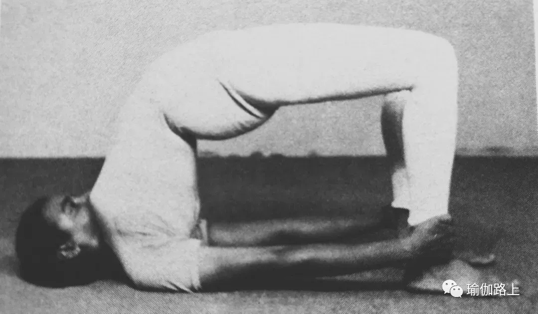 艾扬格密集一 | 32 个经典体式 & 2 大呼吸法经典示范图