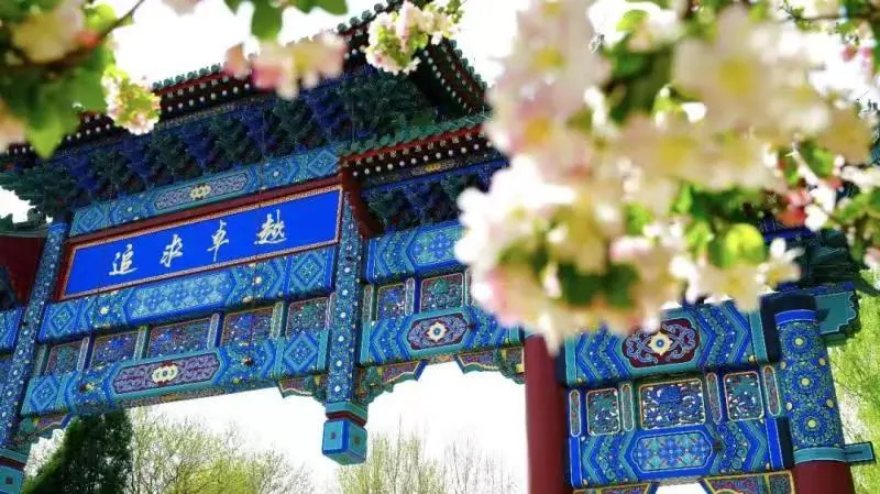 北体大(初级)太极拳教练员线上培训班开始啦，特邀王战军老师讲学