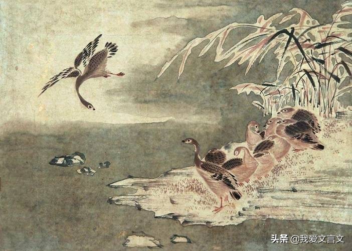 经典文言文赏析 | 泽人网雁
