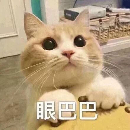 可爱猫猫的表情包合集｜咋回事呢，小老弟