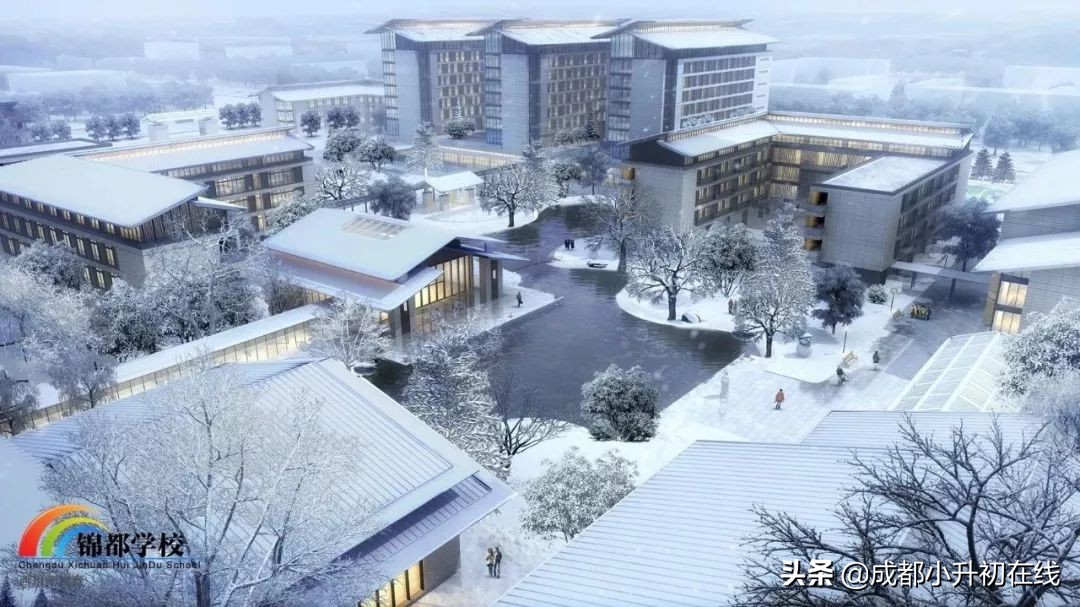 成都这四所新建民办校，谁更适合成都本地土壤