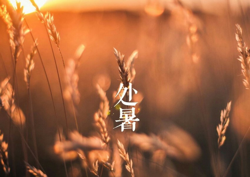 秋雨淅沥润心田