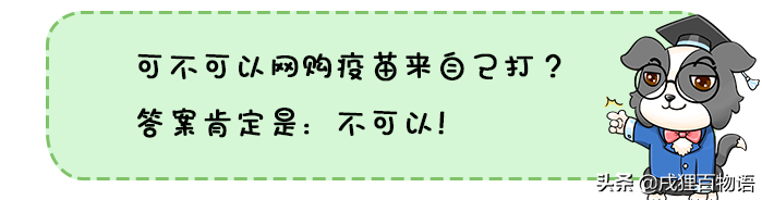 网购宠物疫苗自己打，是省钱妙招？忽略这些问题，你可能要后悔