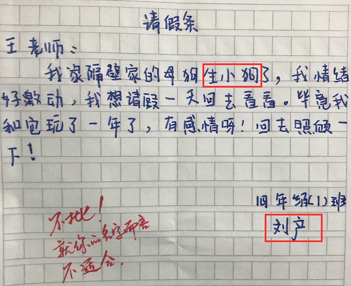小学生“请假条”走红，理由让人不忍拒绝，网友：别人家的姐姐