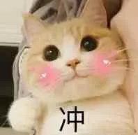 一口气刷十集,这部承包了我的夏季笑点