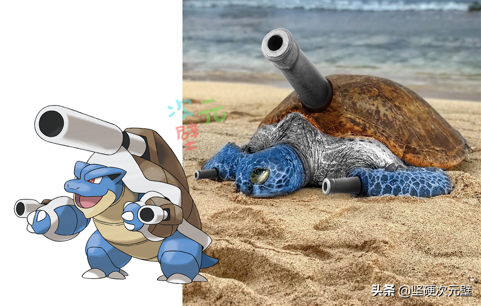 神奇宝贝在真实世界:喷火龙一会儿变蜥蜴,一会儿变霸王龙