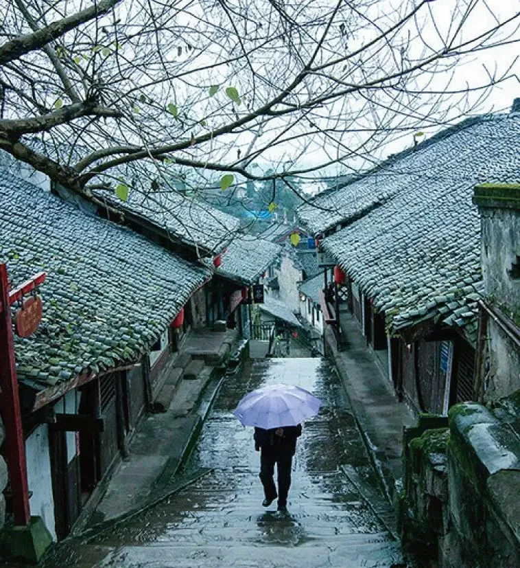 谷雨时节，相思来袭，王维的红豆开了