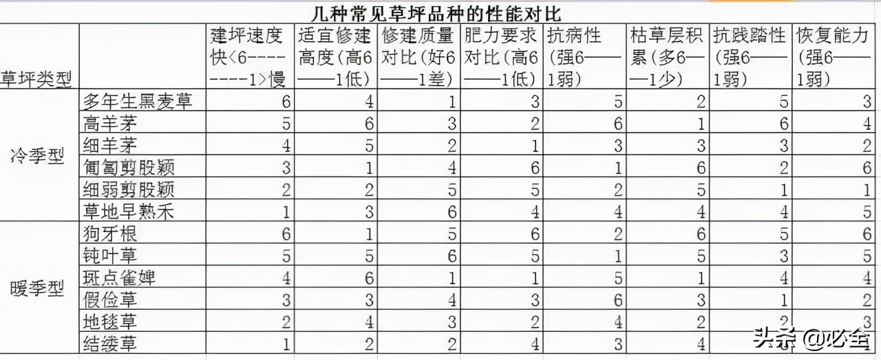 高羊茅草坪有（我国各地区常用的草坪草详讲）