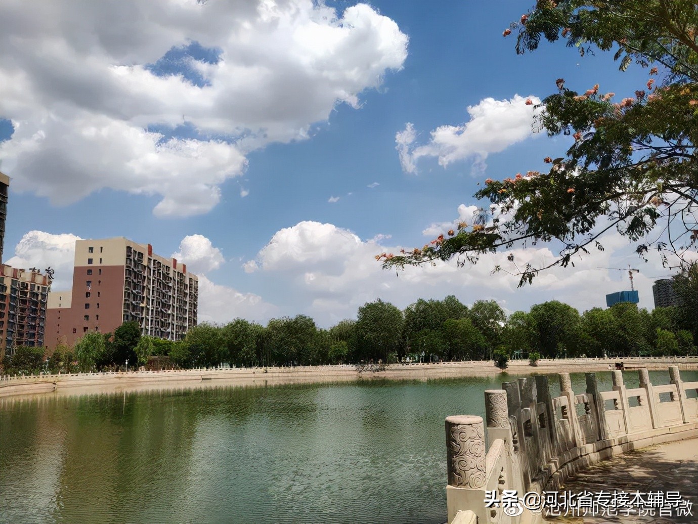 河北专接本院校介绍 | 沧州师范学院