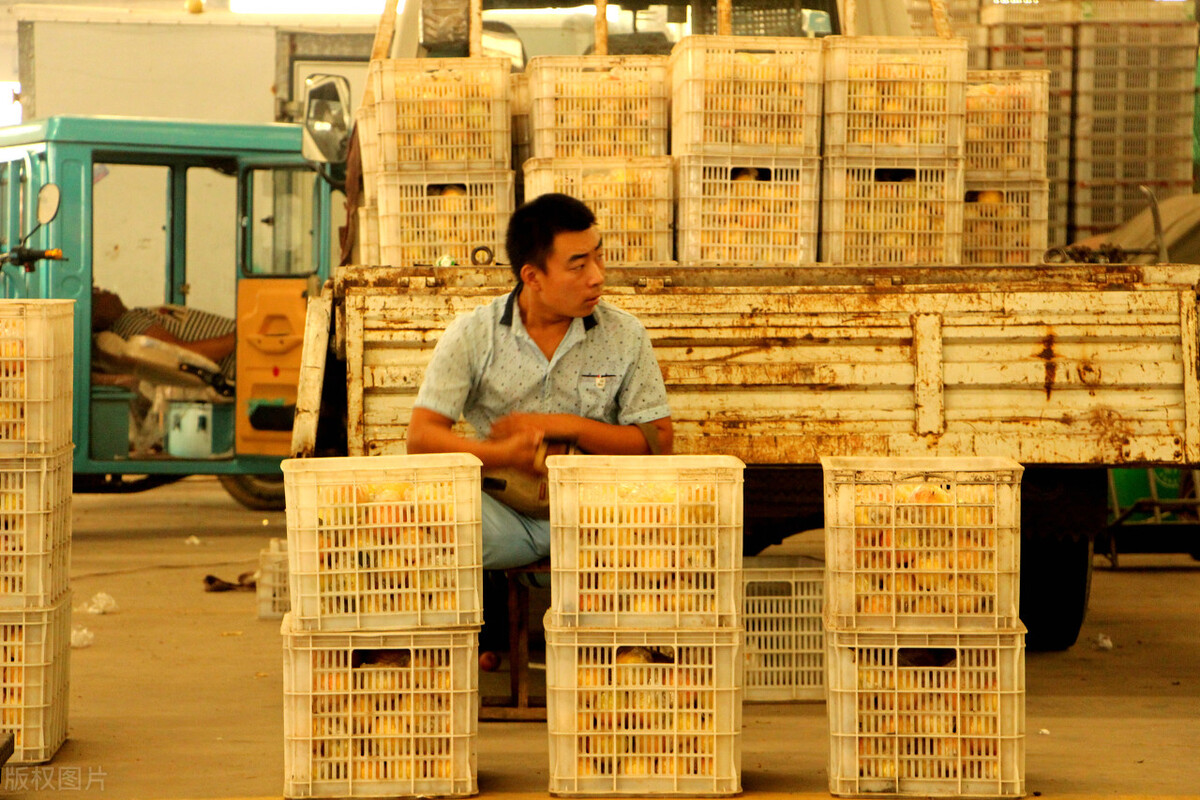 开店如何进货？精明的老板都这样做