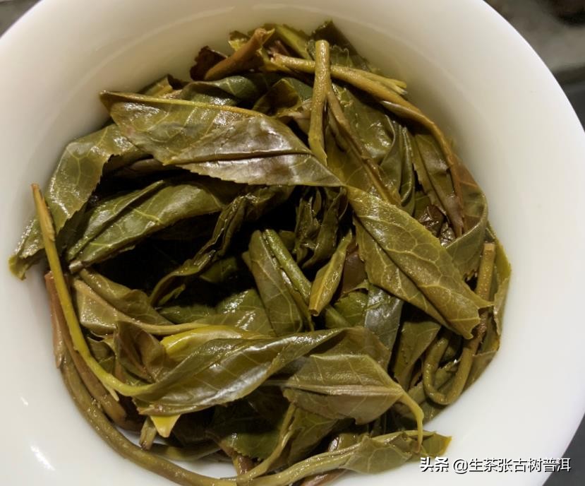 天下一品茗淺談:雲南昔歸普洱茶在哪裡?古樹茶有何口感特點?