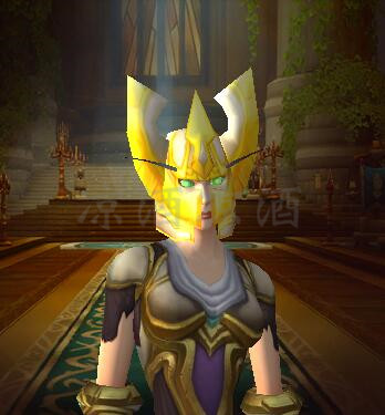 魔兽世界:血骑士战袍 限定血精灵圣骑才能拿的战袍