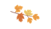 「思维导图“画”作文」缩写故事——《猎人海力布》缩写（六）