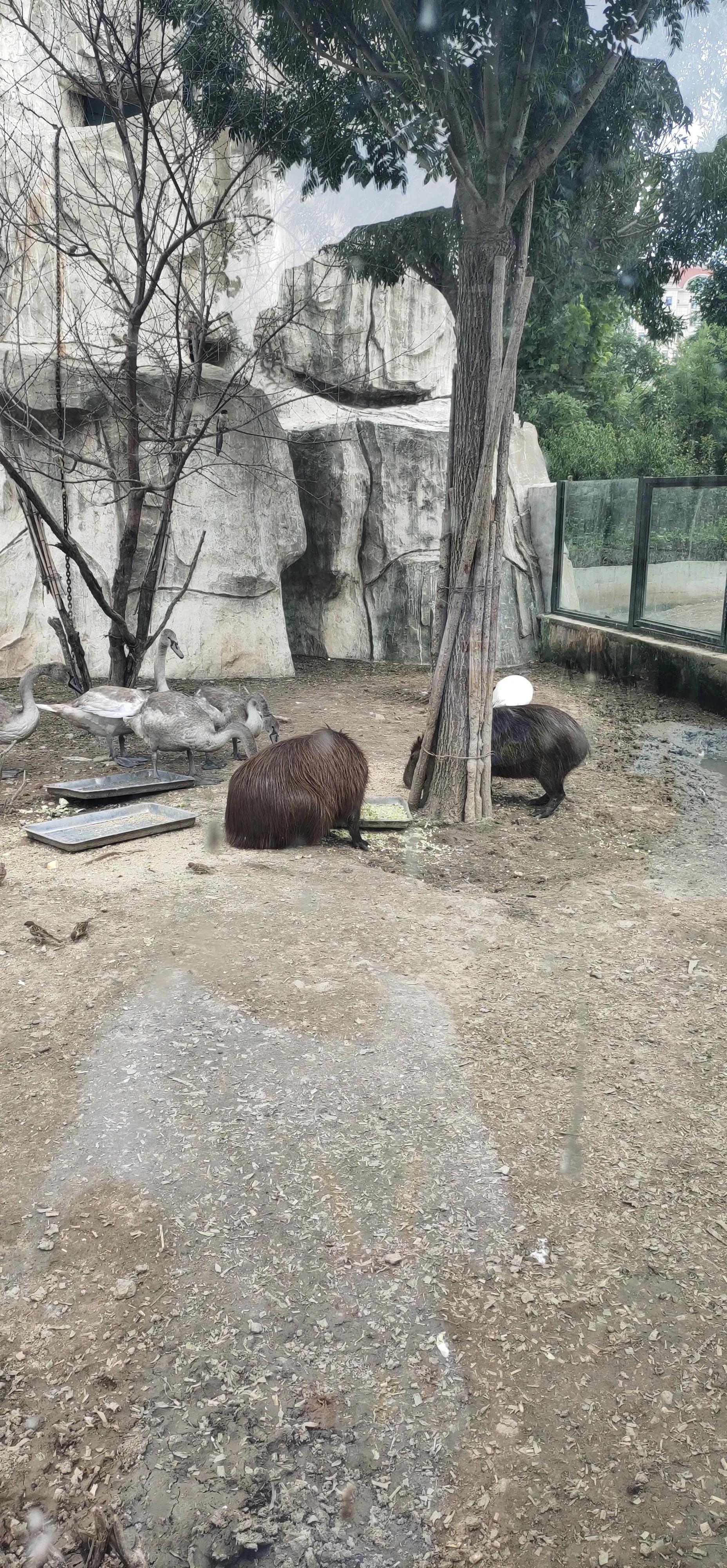 天津动物园