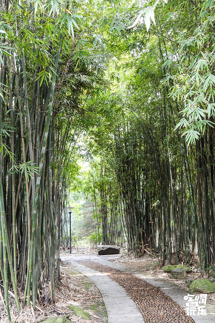 长大，不说再见！