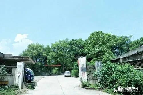 「家乡祁东」白地市记忆