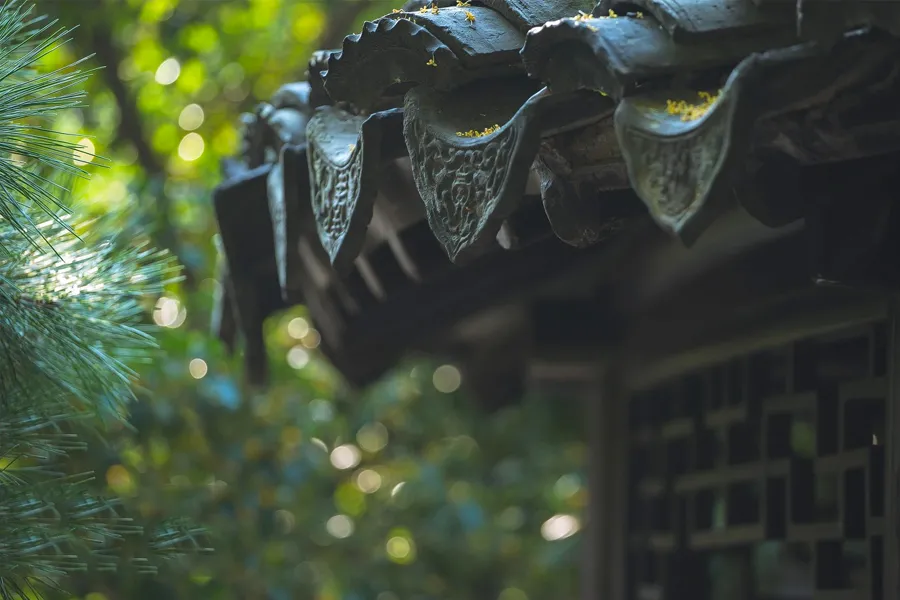 今日秋分:清景难逢,一切都爽朗起来