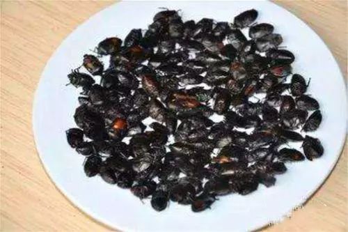 昭通美食有哪些（盘点到昭通一定要吃的10大美食）
