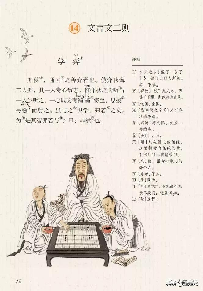 日出江花红胜火的作者及知识点分析