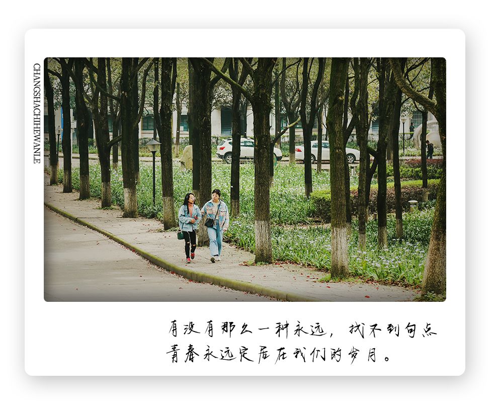 长大，不说再见！