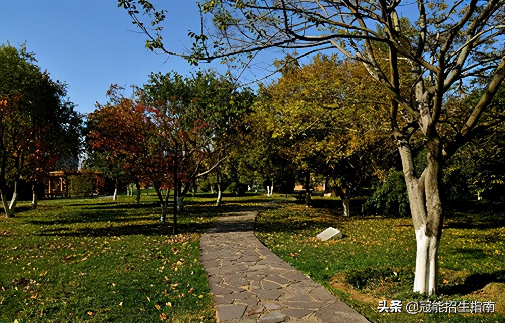 成都卫校2021年护理专业招生条件是什么-护理主要学什么？