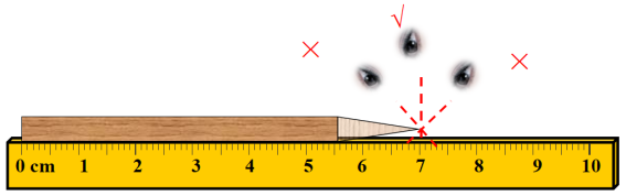你会测量长度和时间吗？看完你还可以教会他