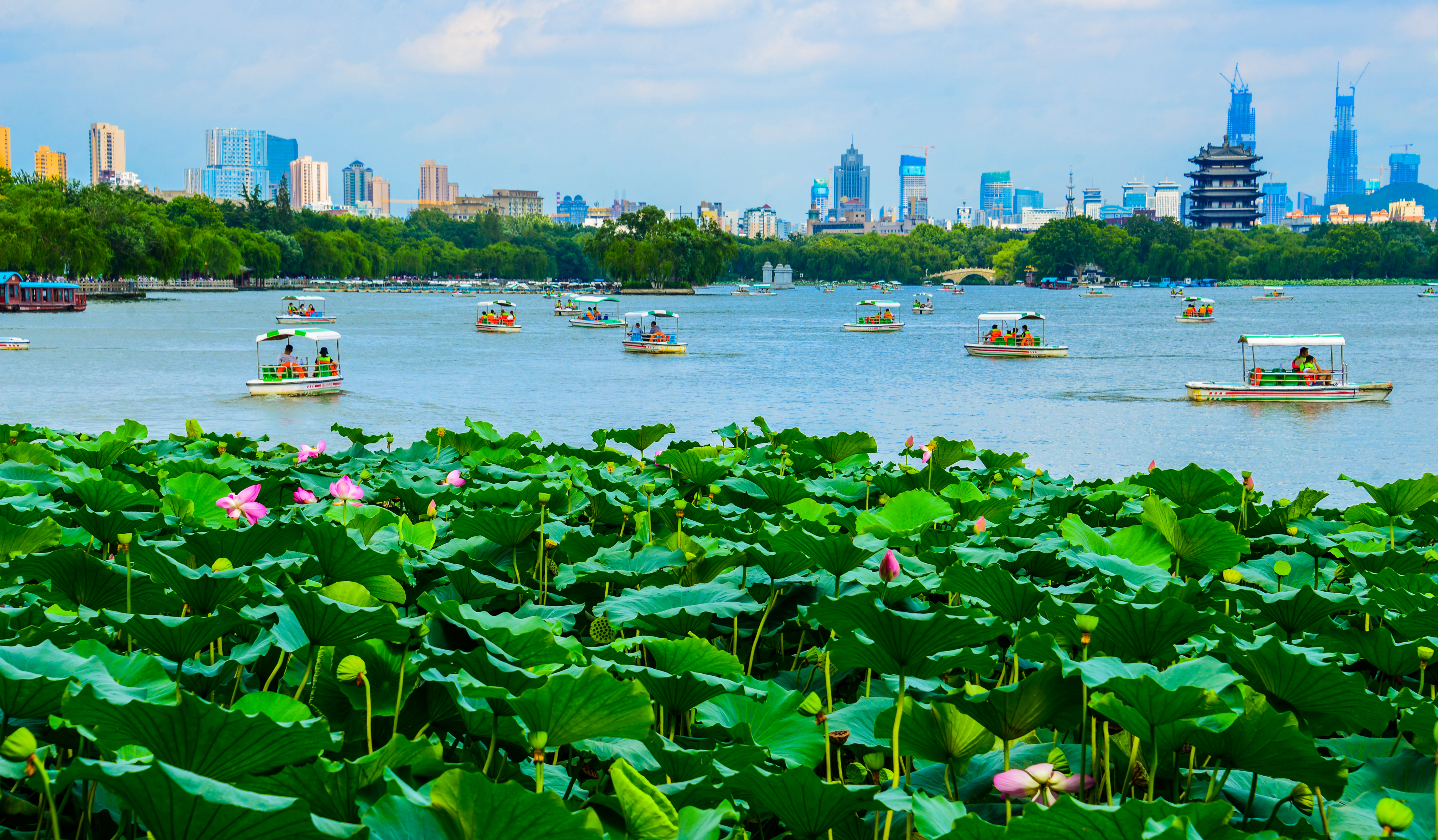 夏末初秋，大明湖的风景，这样看才浪漫！