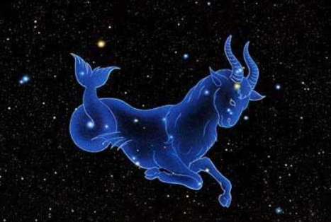 单纯从星象来看,天秤座是风象,摩羯座是土象,似乎不是很搭的一对.