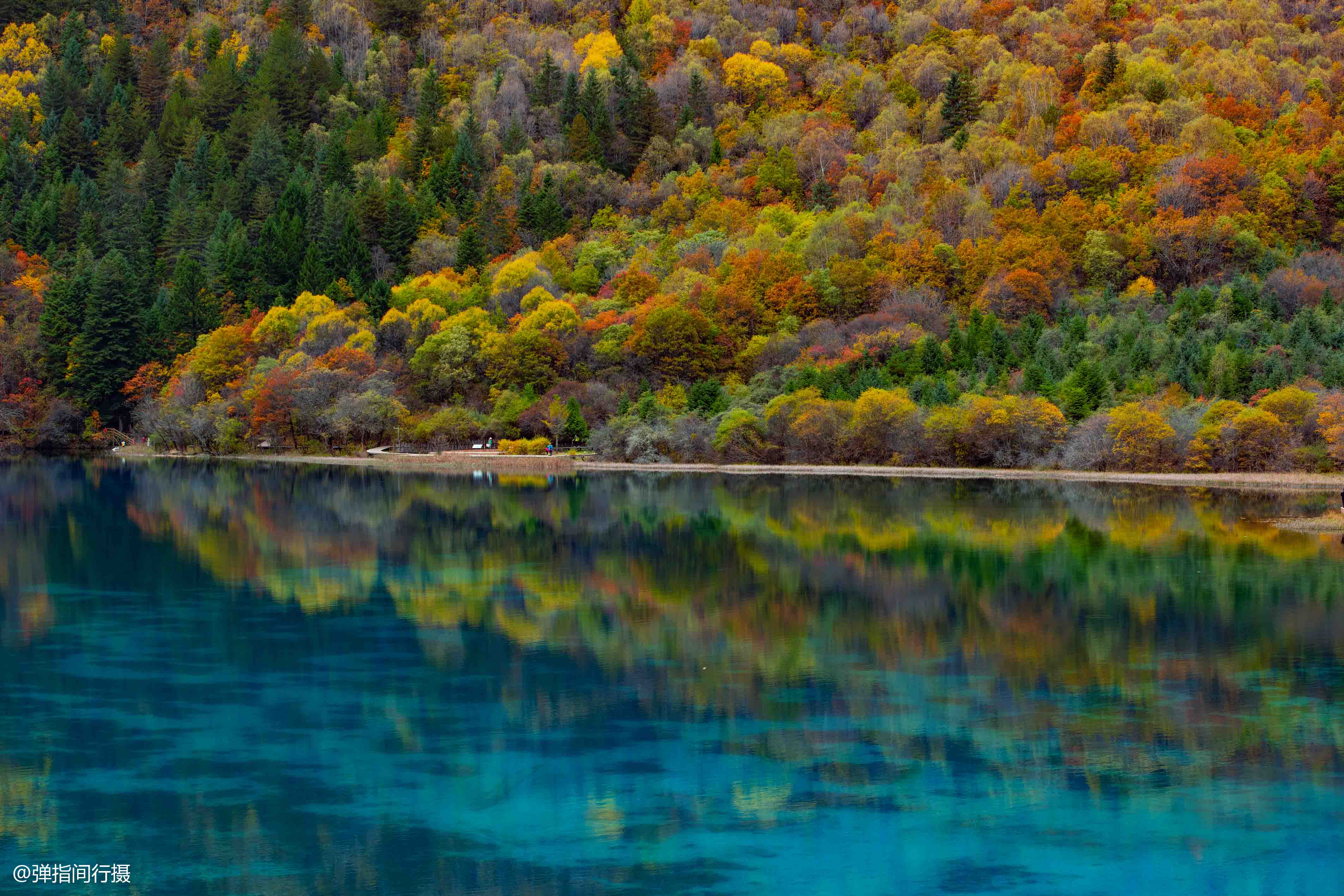 九寨沟最“仙”的景点：秋色宛如彩色梦境，堪称“九寨沟一绝”