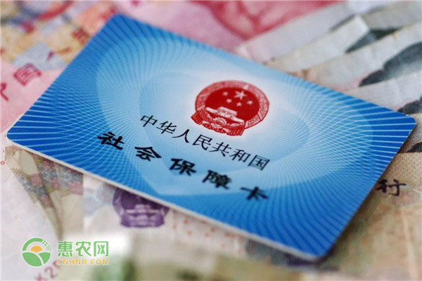 农村医保没交可以补交吗？住院还能不能报销？一年可报销几次？