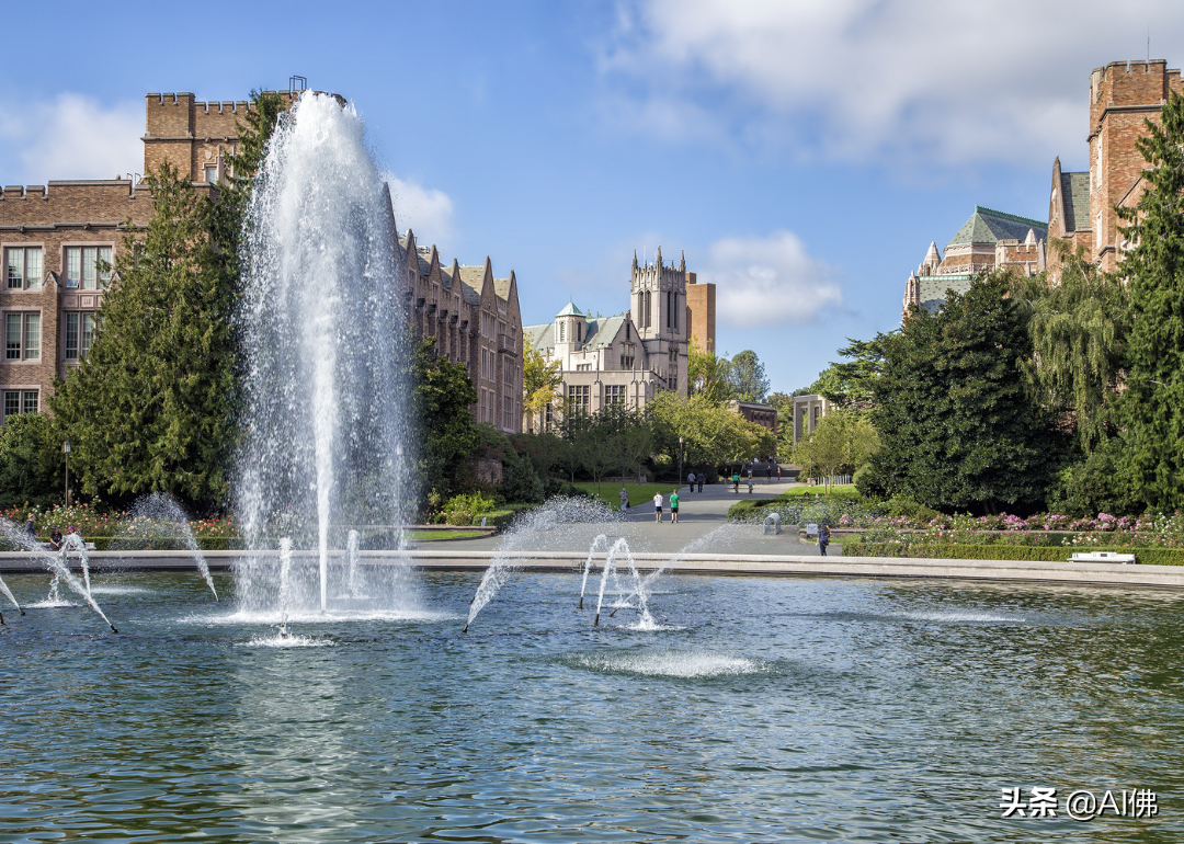 美国最自由的公立大学