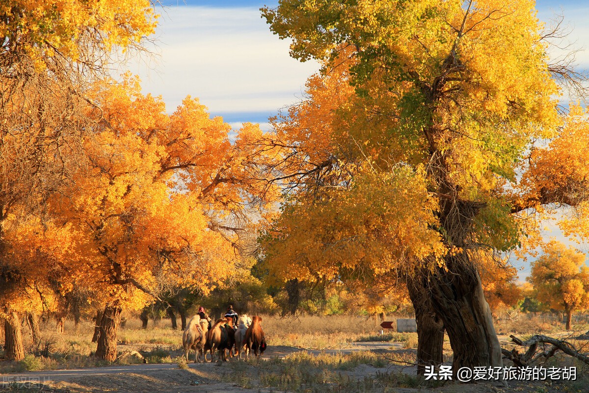 秋天旅游一定要去的3个景区，每个都美得让人沉醉，可惜时间太短