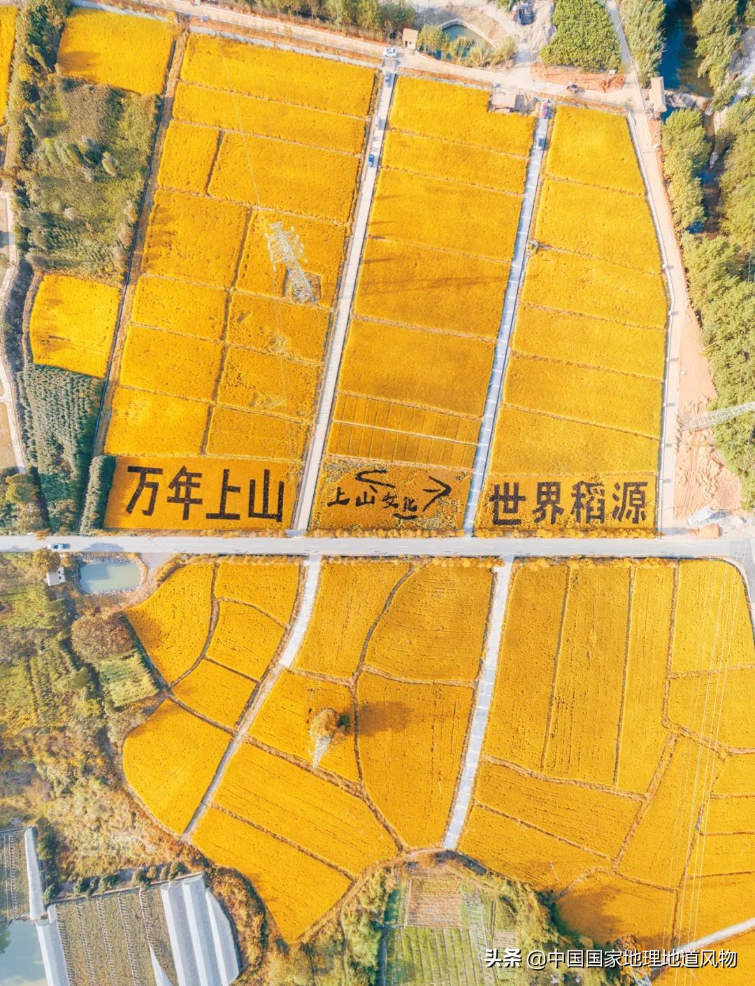 浙江C位，为什么是金华？