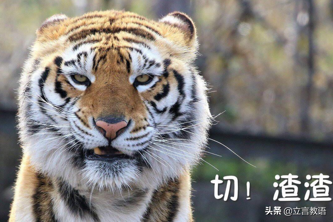 在北大，并非所有北大学生，都是“北大人”