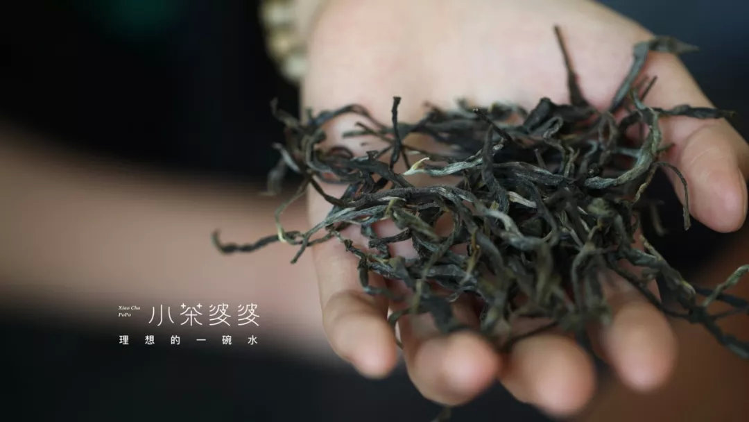寻香景迈 | 景迈山是云南最美的茶山，云海养心，姑娘养眼