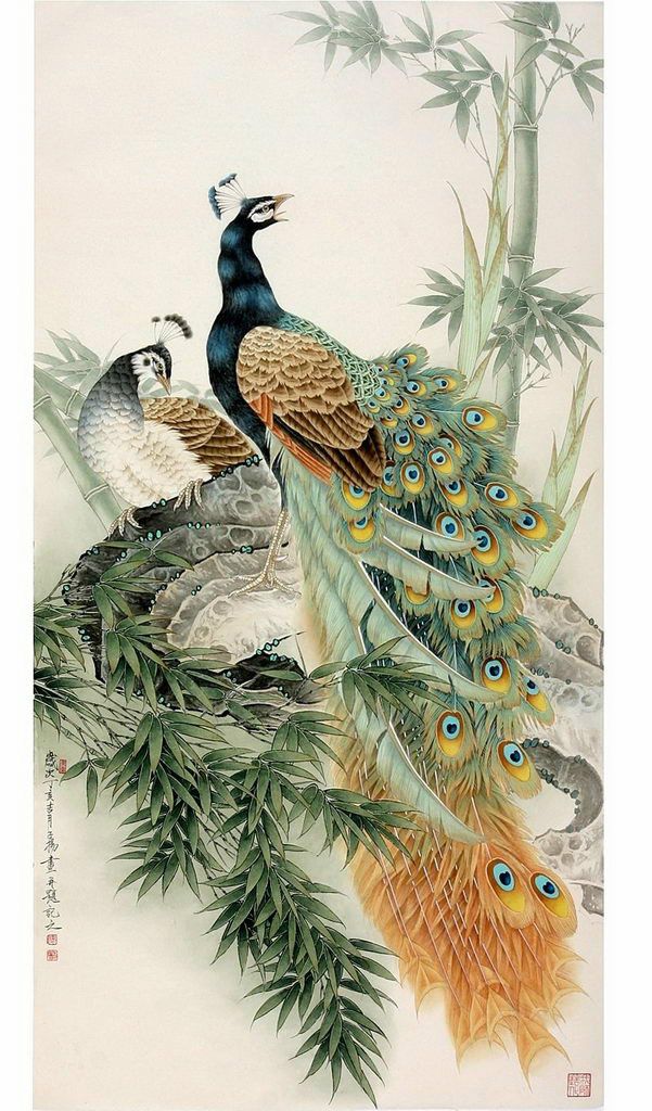 孔雀东南飞！高贵、冷艳的白孔雀